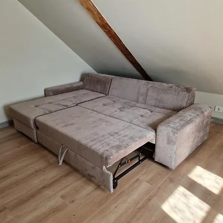 Mansard In Saddler's House